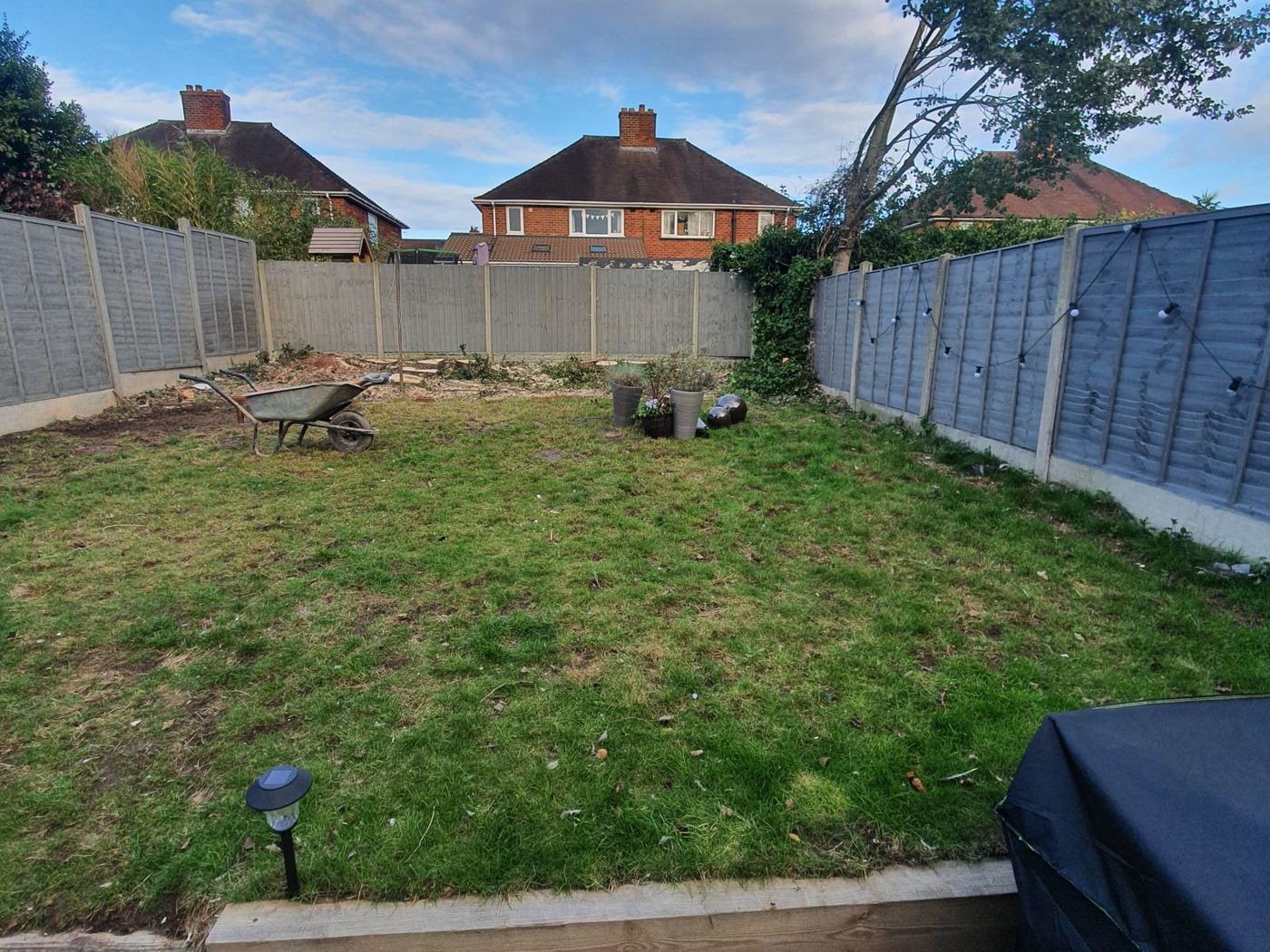 Before: Overgrown lawn before the garden transformation in Sutton Coldfield